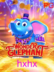 WonderElephant